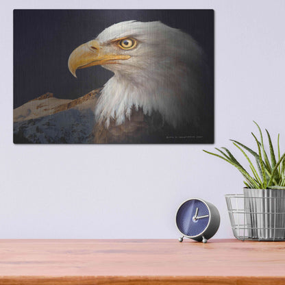 Luxe Metal Art 'Bald Eagle Study' by Chris Vest, Metal Wall Art,16x12