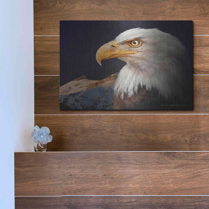 Luxe Metal Art 'Bald Eagle Study' by Chris Vest, Metal Wall Art,16x12