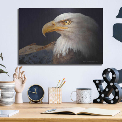 Luxe Metal Art 'Bald Eagle Study' by Chris Vest, Metal Wall Art,16x12