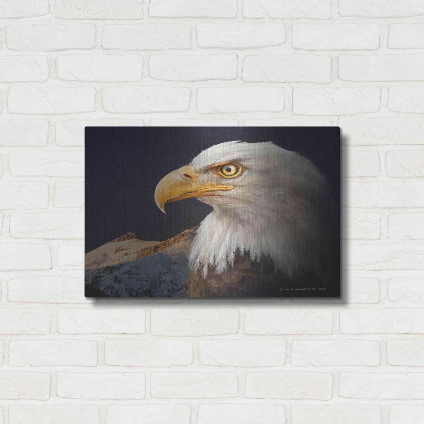 Luxe Metal Art 'Bald Eagle Study' by Chris Vest, Metal Wall Art,24x16