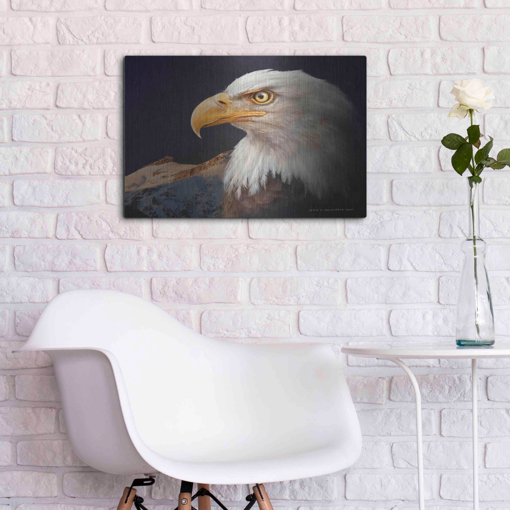 Luxe Metal Art 'Bald Eagle Study' by Chris Vest, Metal Wall Art,24x16