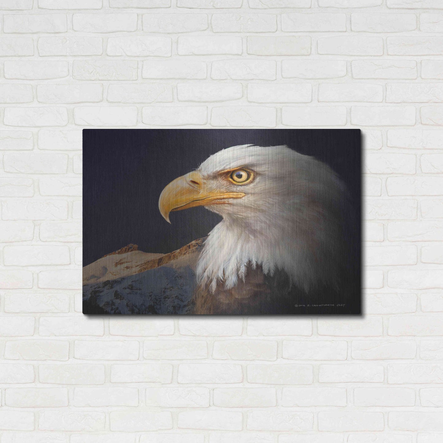 Luxe Metal Art 'Bald Eagle Study' by Chris Vest, Metal Wall Art,36x24