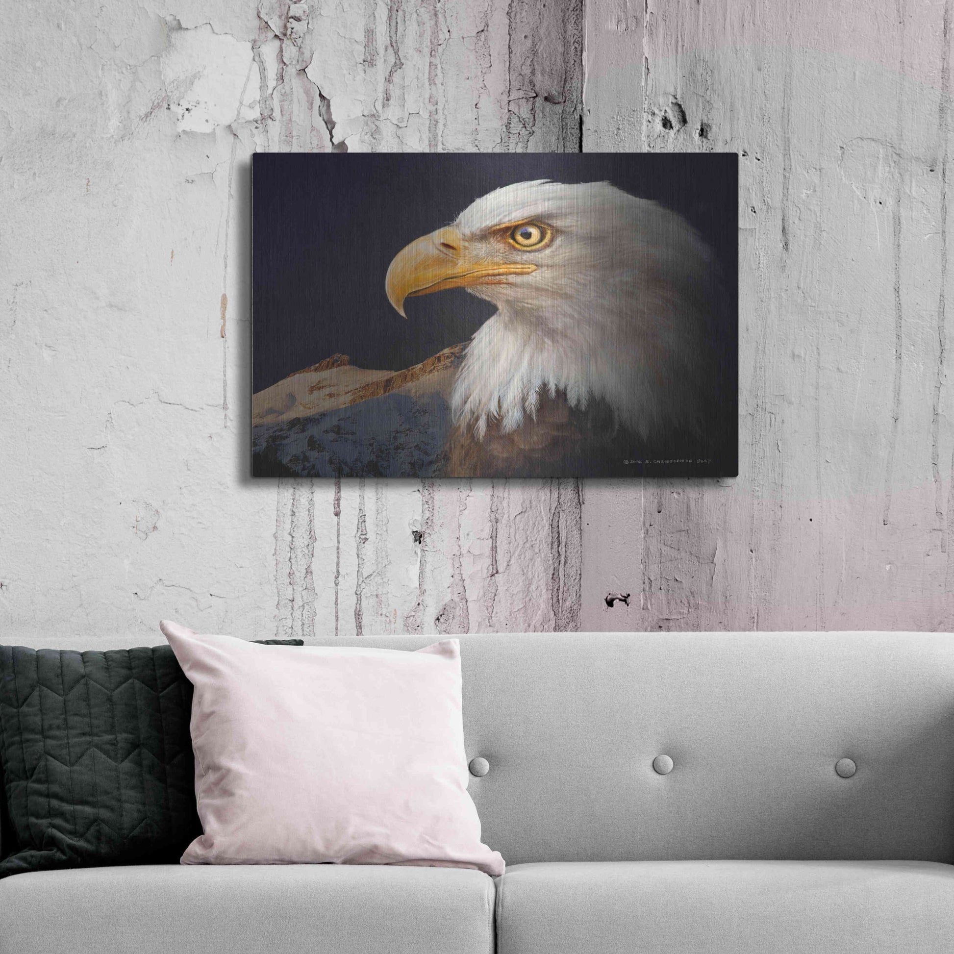 Luxe Metal Art 'Bald Eagle Study' by Chris Vest, Metal Wall Art,36x24