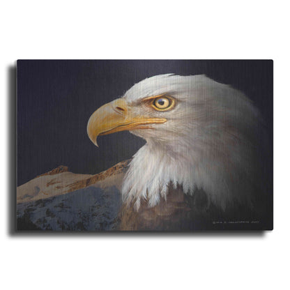 Luxe Metal Art 'Bald Eagle Study' by Chris Vest, Metal Wall Art