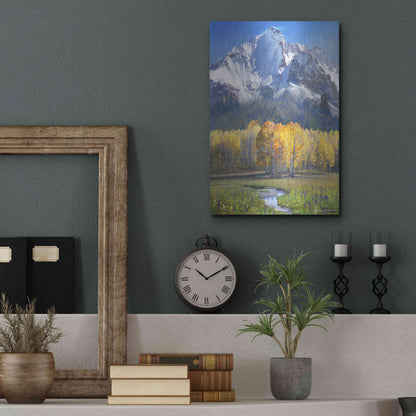 Luxe Metal Art 'Idyllic Mountain' by Chris Vest, Metal Wall Art,12x16