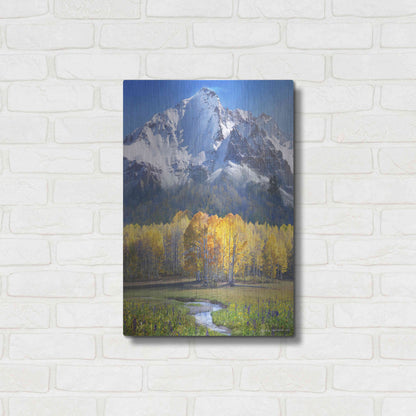 Luxe Metal Art 'Idyllic Mountain' by Chris Vest, Metal Wall Art,16x24