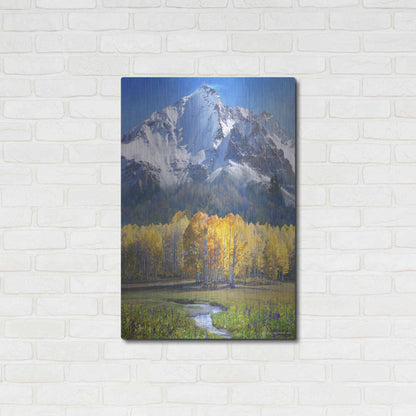 Luxe Metal Art 'Idyllic Mountain' by Chris Vest, Metal Wall Art,24x36