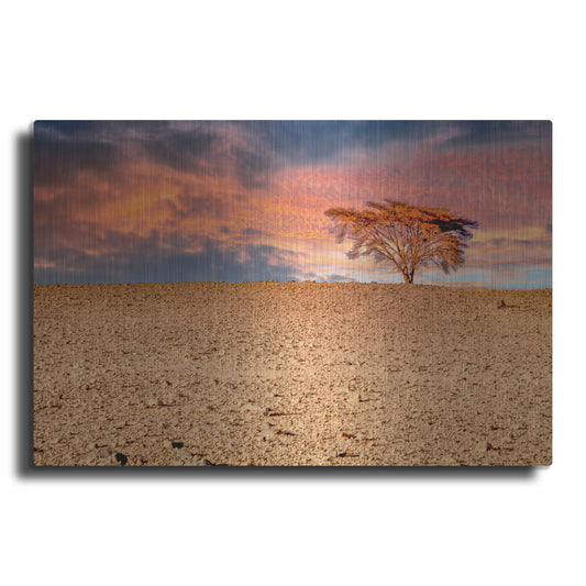 Luxe Metal Art 'Sahara Desert Beauty' by Mark A Paulda, Metal Wall Art