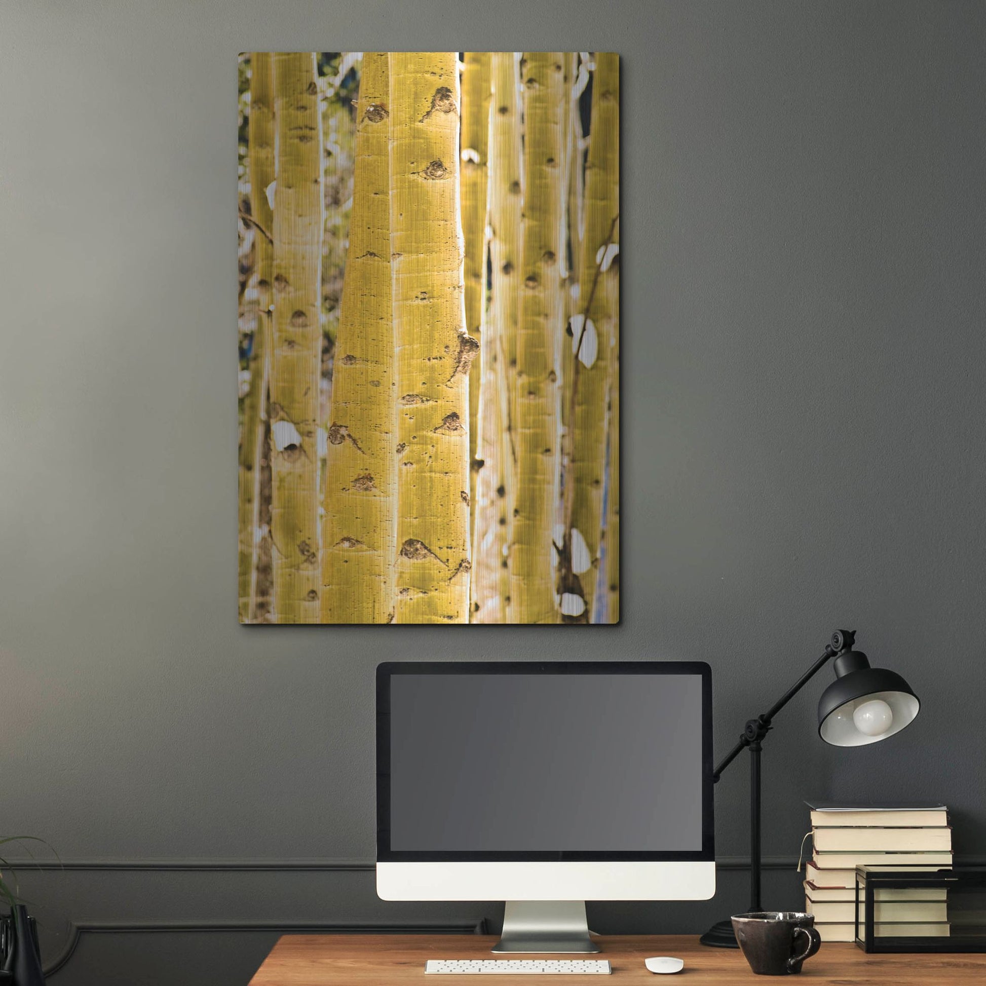 Luxe Metal Art 'Aspen Trunks' by Mark A Paulda, Metal Wall Art,24x36