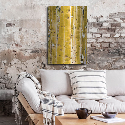 Luxe Metal Art 'Aspen Trunks' by Mark A Paulda, Metal Wall Art,24x36