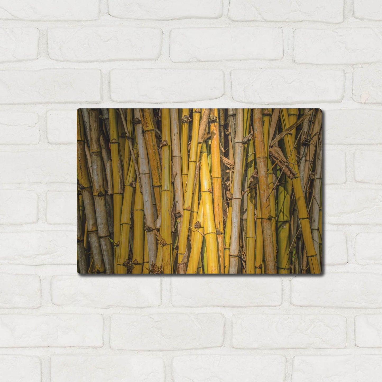 Luxe Metal Art 'Bamboo' by Mark A Paulda, Metal Wall Art,16x12