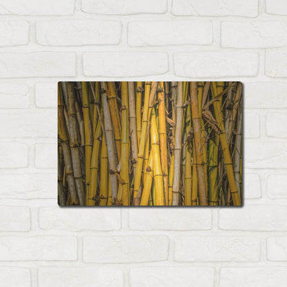 Luxe Metal Art 'Bamboo' by Mark A Paulda, Metal Wall Art,16x12