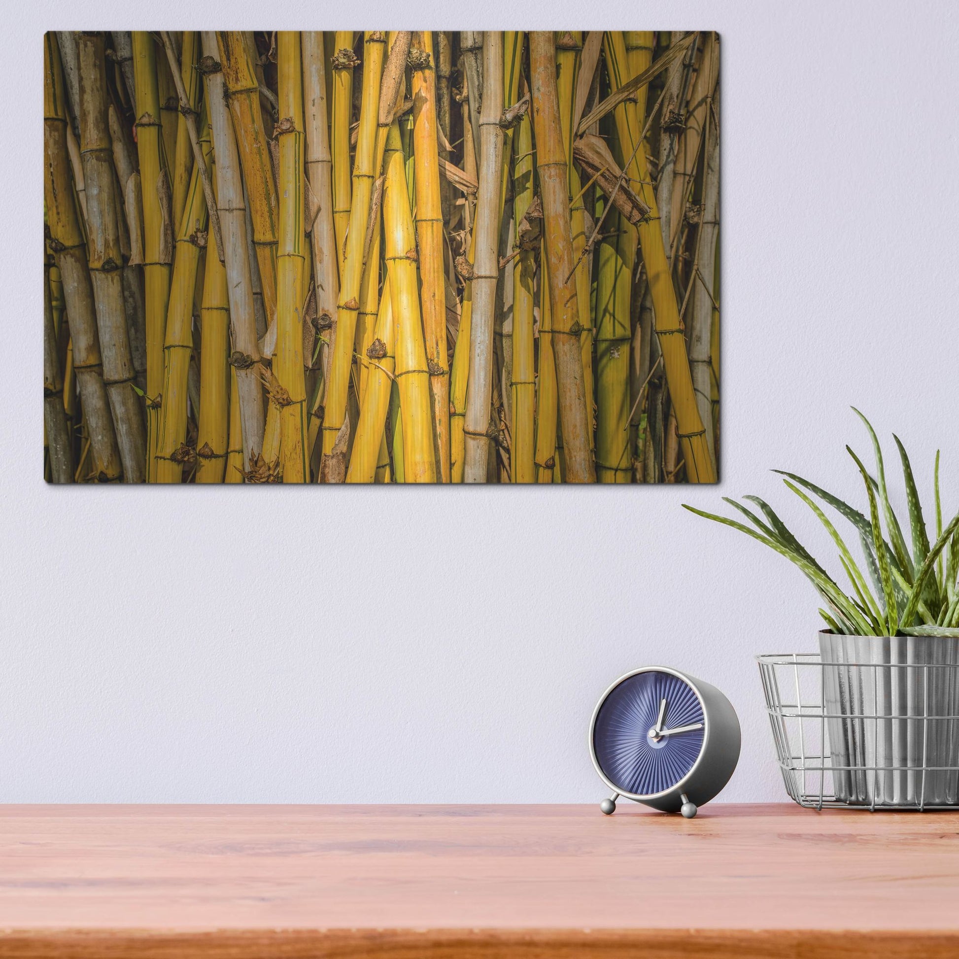 Luxe Metal Art 'Bamboo' by Mark A Paulda, Metal Wall Art,16x12