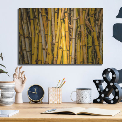 Luxe Metal Art 'Bamboo' by Mark A Paulda, Metal Wall Art,16x12