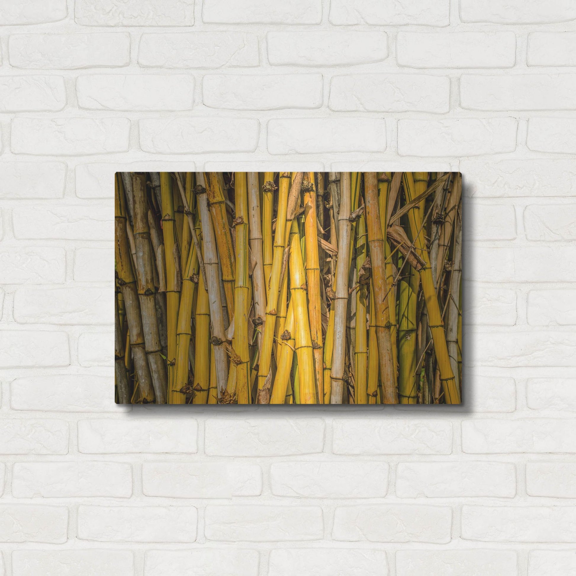 Luxe Metal Art 'Bamboo' by Mark A Paulda, Metal Wall Art,24x16