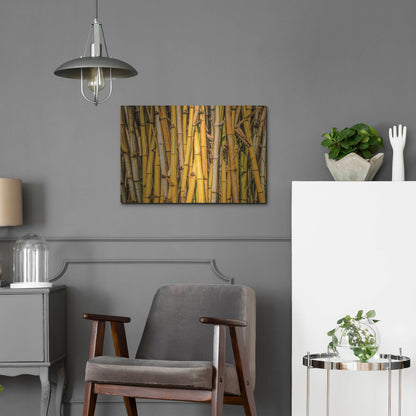 Luxe Metal Art 'Bamboo' by Mark A Paulda, Metal Wall Art,24x16