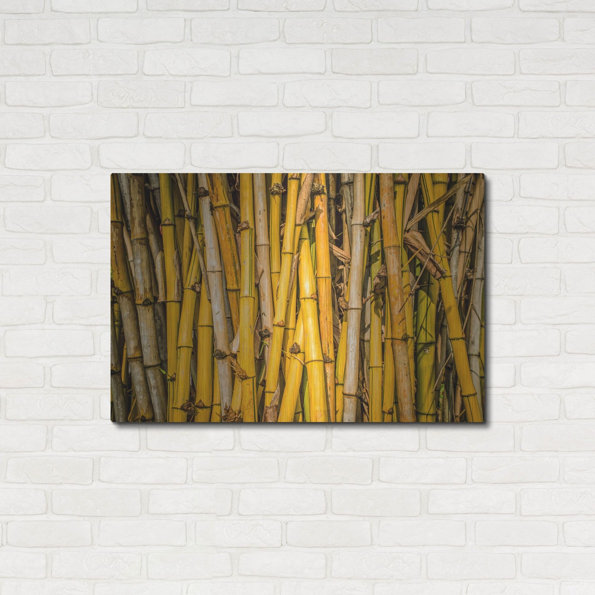 Luxe Metal Art 'Bamboo' by Mark A Paulda, Metal Wall Art,36x24