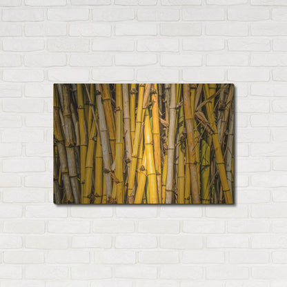 Luxe Metal Art 'Bamboo' by Mark A Paulda, Metal Wall Art,36x24