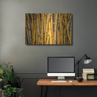 Luxe Metal Art 'Bamboo' by Mark A Paulda, Metal Wall Art,36x24