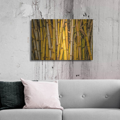 Luxe Metal Art 'Bamboo' by Mark A Paulda, Metal Wall Art,36x24