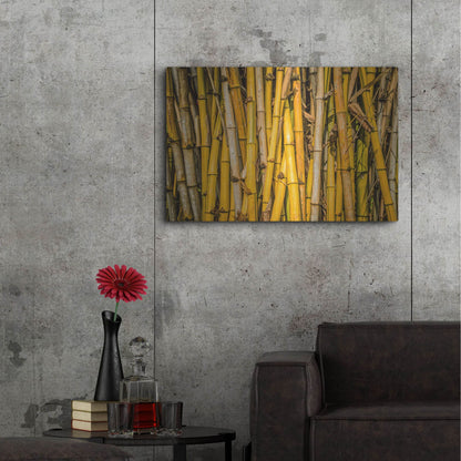Luxe Metal Art 'Bamboo' by Mark A Paulda, Metal Wall Art,36x24