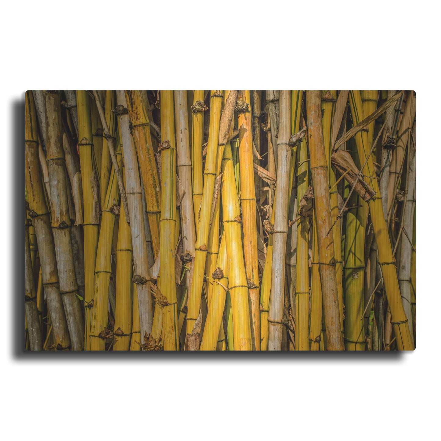 Luxe Metal Art 'Bamboo' by Mark A Paulda, Metal Wall Art