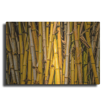 Luxe Metal Art 'Bamboo' by Mark A Paulda, Metal Wall Art