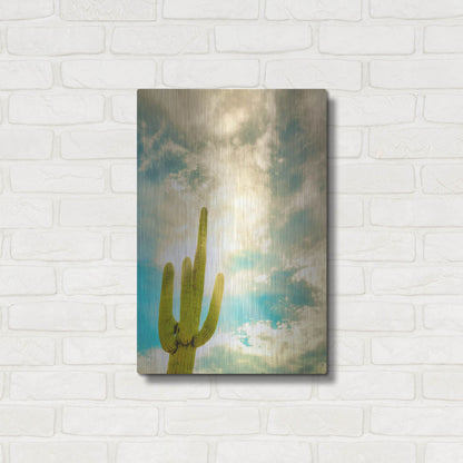Luxe Metal Art 'Sun Burst Saguaro' by Mark A Paulda, Metal Wall Art,16x24