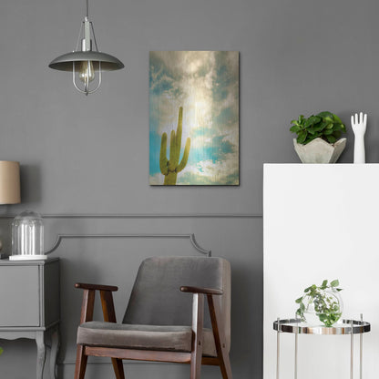 Luxe Metal Art 'Sun Burst Saguaro' by Mark A Paulda, Metal Wall Art,16x24