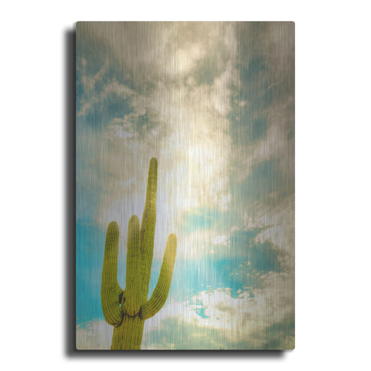 Luxe Metal Art 'Sun Burst Saguaro' by Mark A Paulda, Metal Wall Art