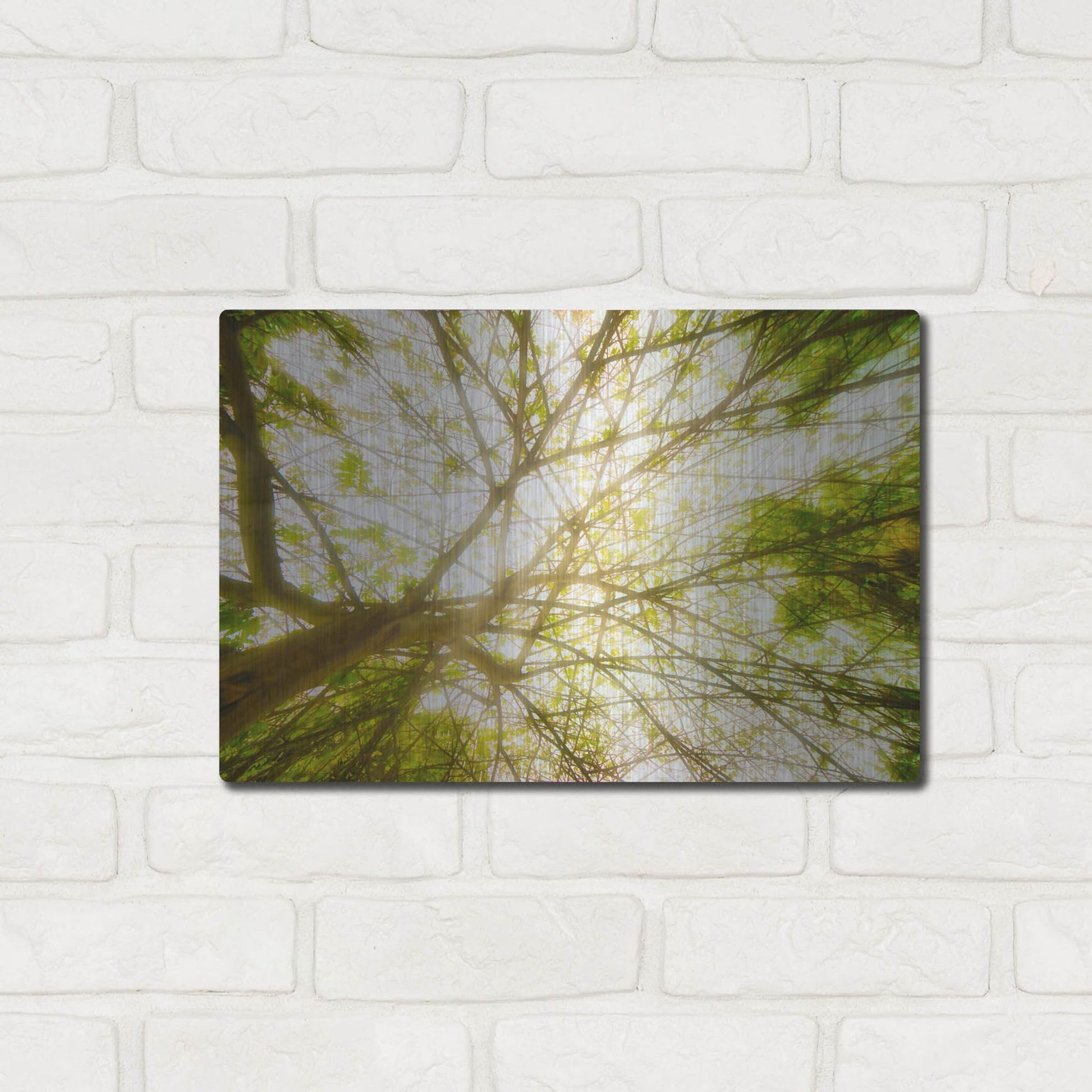 Luxe Metal Art 'Tropical Dream' by Mark A Paulda, Metal Wall Art,16x12