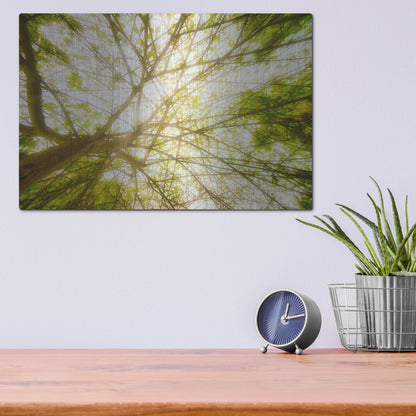 Luxe Metal Art 'Tropical Dream' by Mark A Paulda, Metal Wall Art,16x12