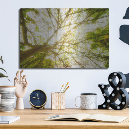 Luxe Metal Art 'Tropical Dream' by Mark A Paulda, Metal Wall Art,16x12