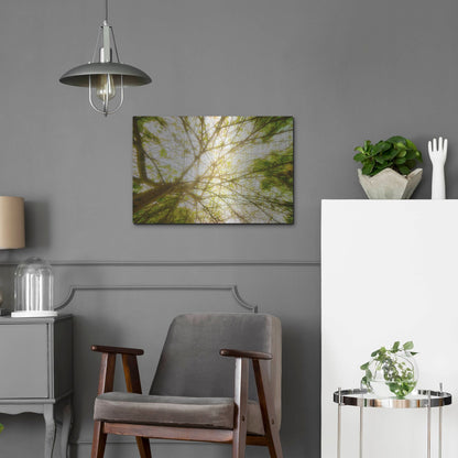 Luxe Metal Art 'Tropical Dream' by Mark A Paulda, Metal Wall Art,24x16