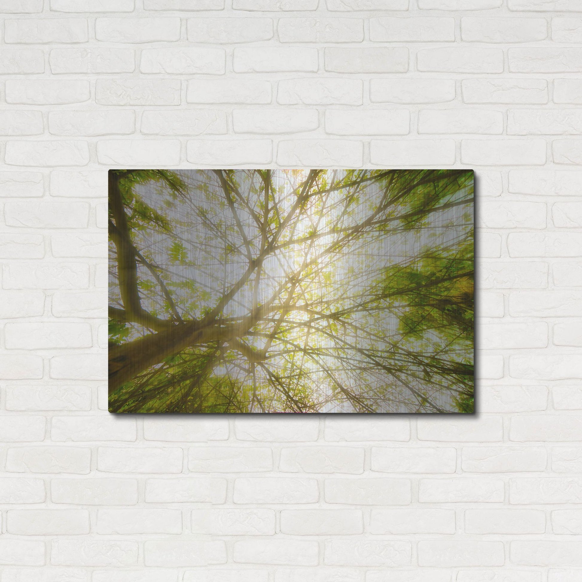 Luxe Metal Art 'Tropical Dream' by Mark A Paulda, Metal Wall Art,36x24