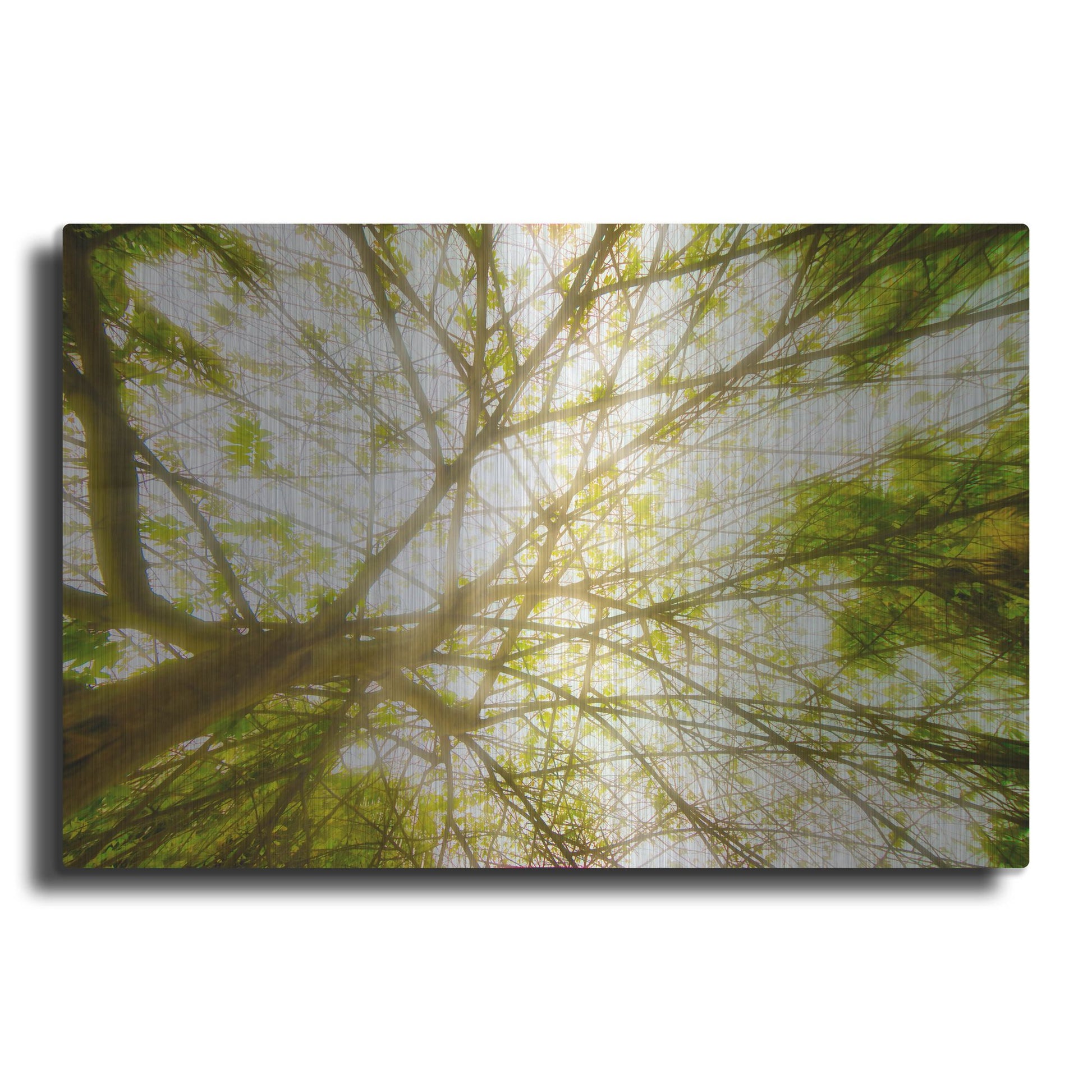 Luxe Metal Art 'Tropical Dream' by Mark A Paulda, Metal Wall Art