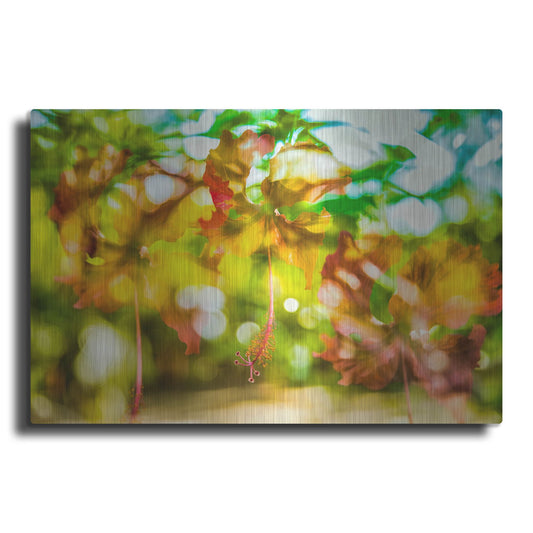 Luxe Metal Art 'Tropical Ecstasy' by Mark A Paulda, Metal Wall Art