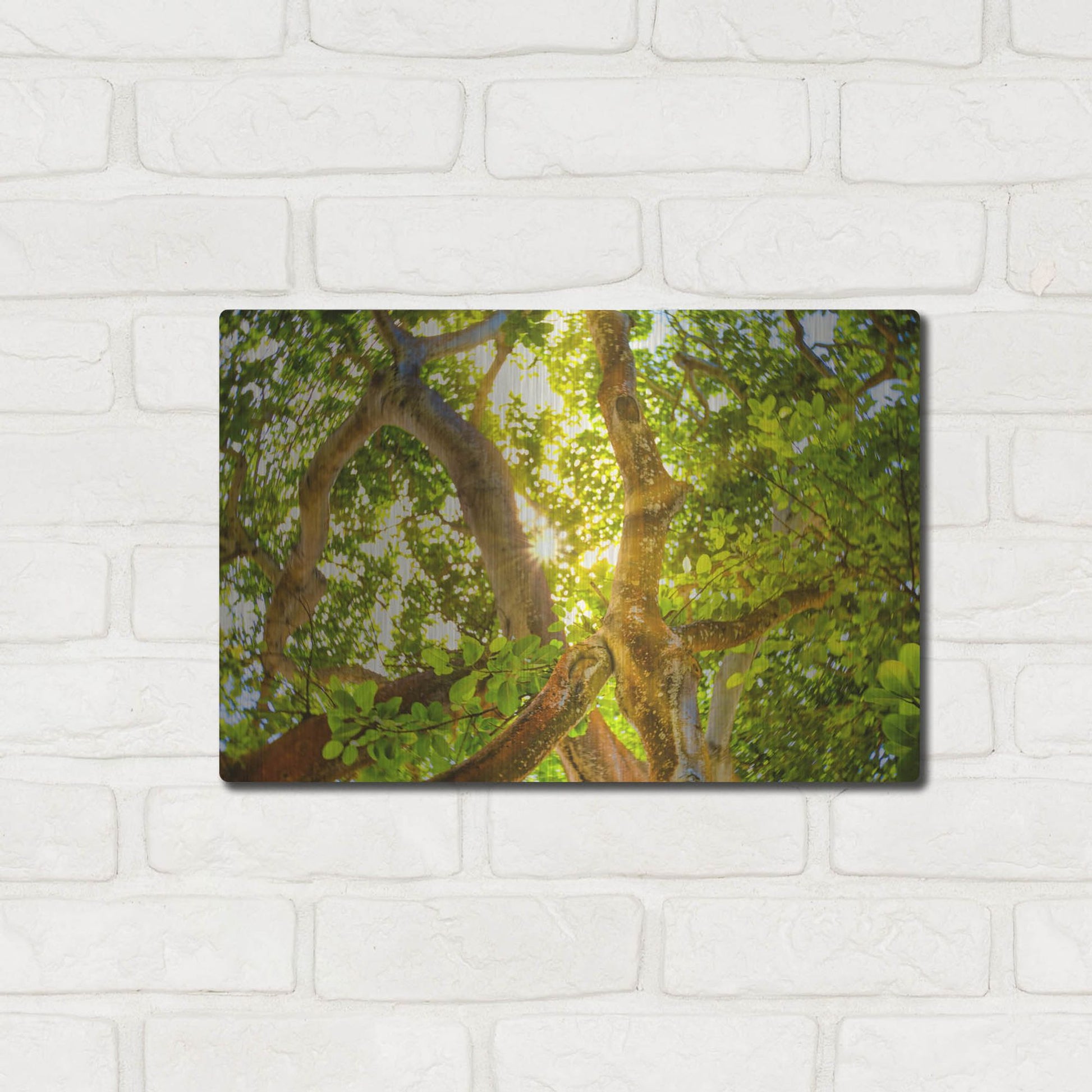 Luxe Metal Art 'Tropical Sun Burst' by Mark A Paulda, Metal Wall Art,16x12