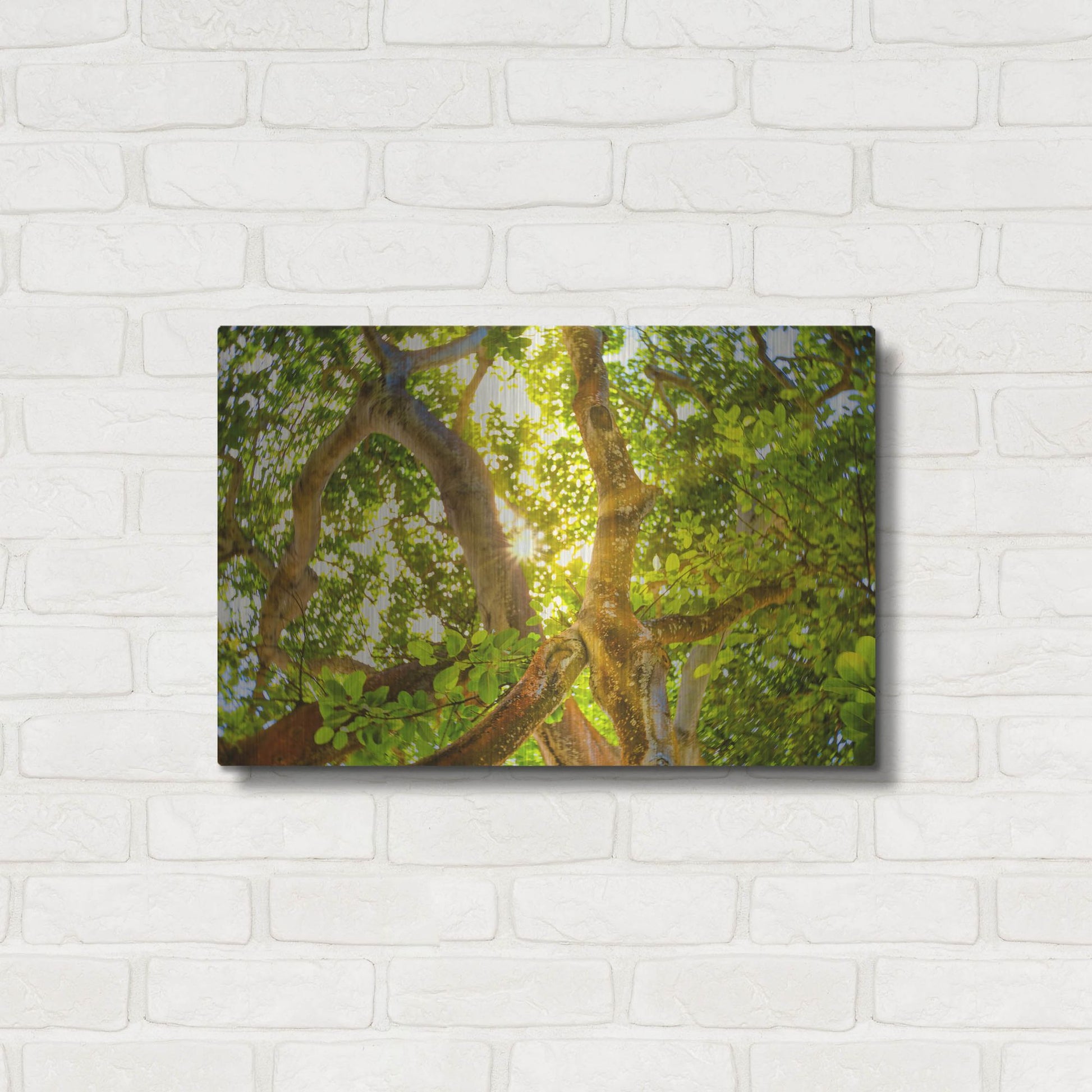 Luxe Metal Art 'Tropical Sun Burst' by Mark A Paulda, Metal Wall Art,24x16