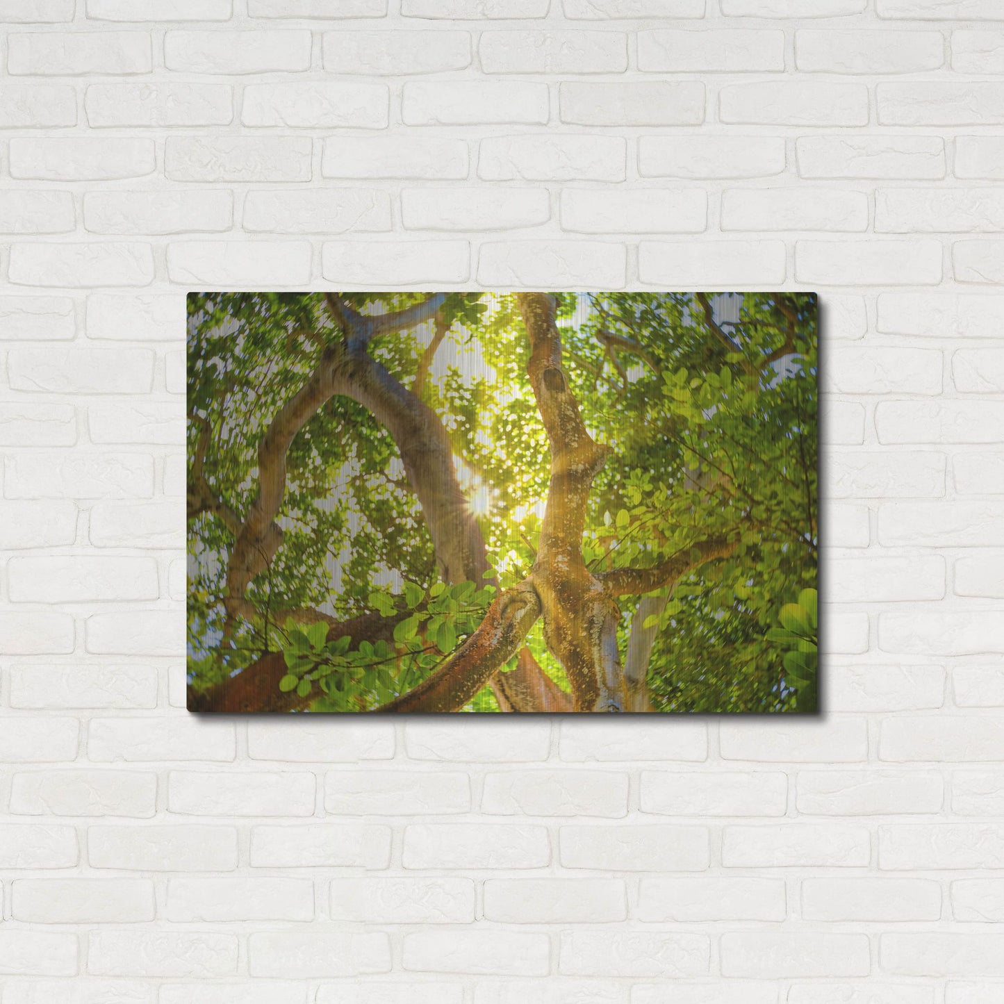 Luxe Metal Art 'Tropical Sun Burst' by Mark A Paulda, Metal Wall Art,36x24