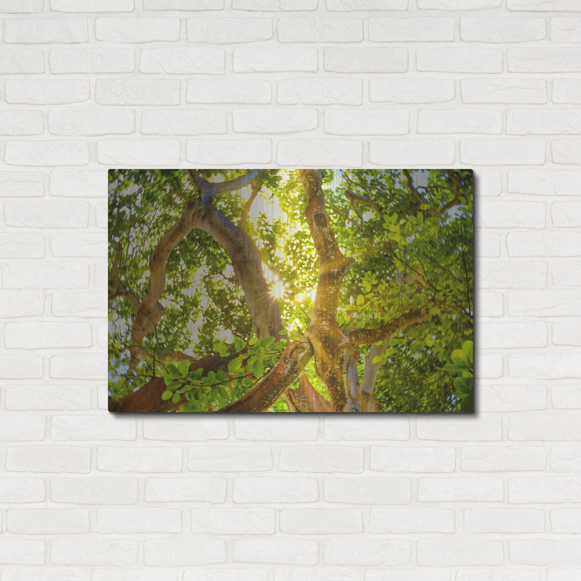 Luxe Metal Art 'Tropical Sun Burst' by Mark A Paulda, Metal Wall Art,36x24