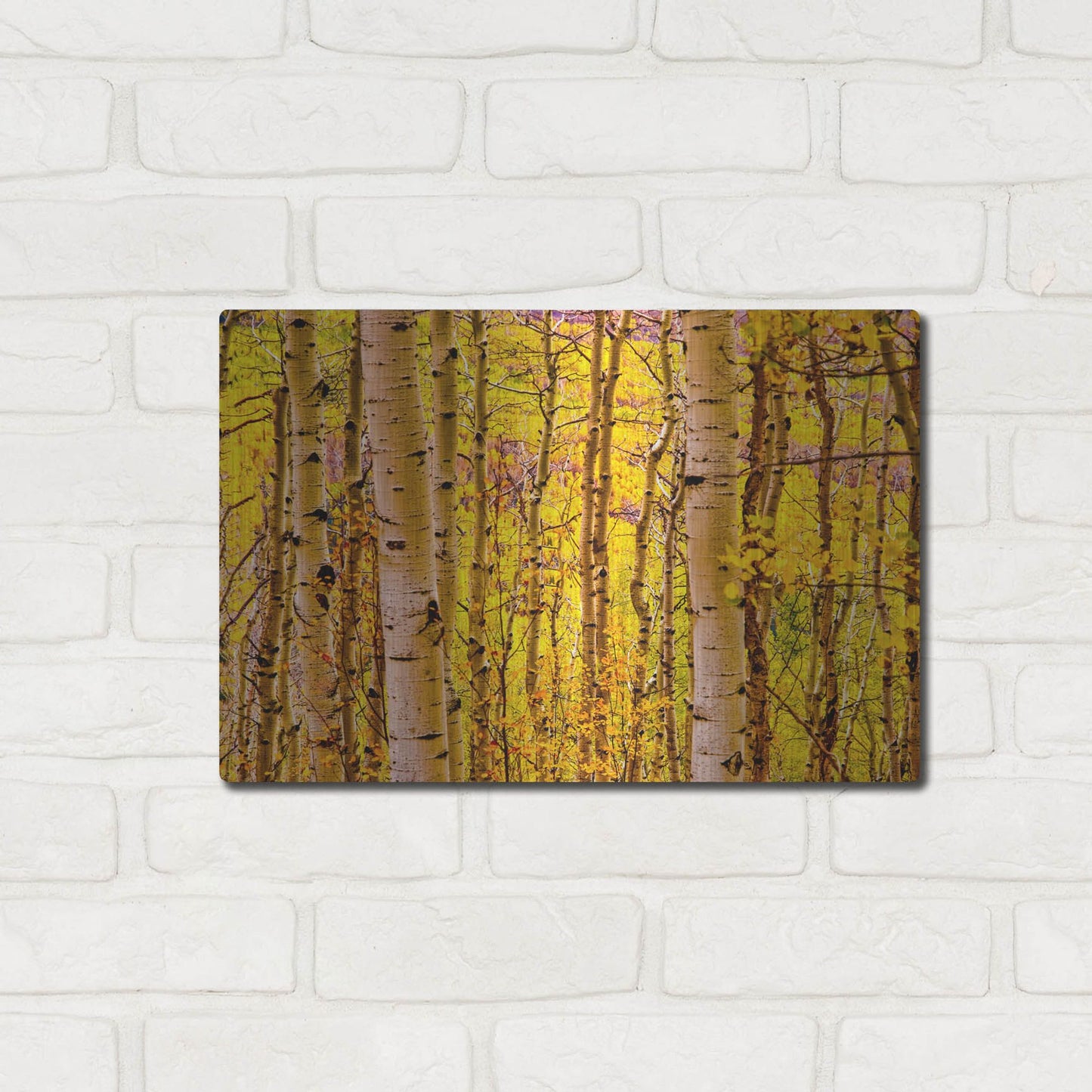 Luxe Metal Art 'Aspen Autumn' by Mark A Paulda, Metal Wall Art,16x12