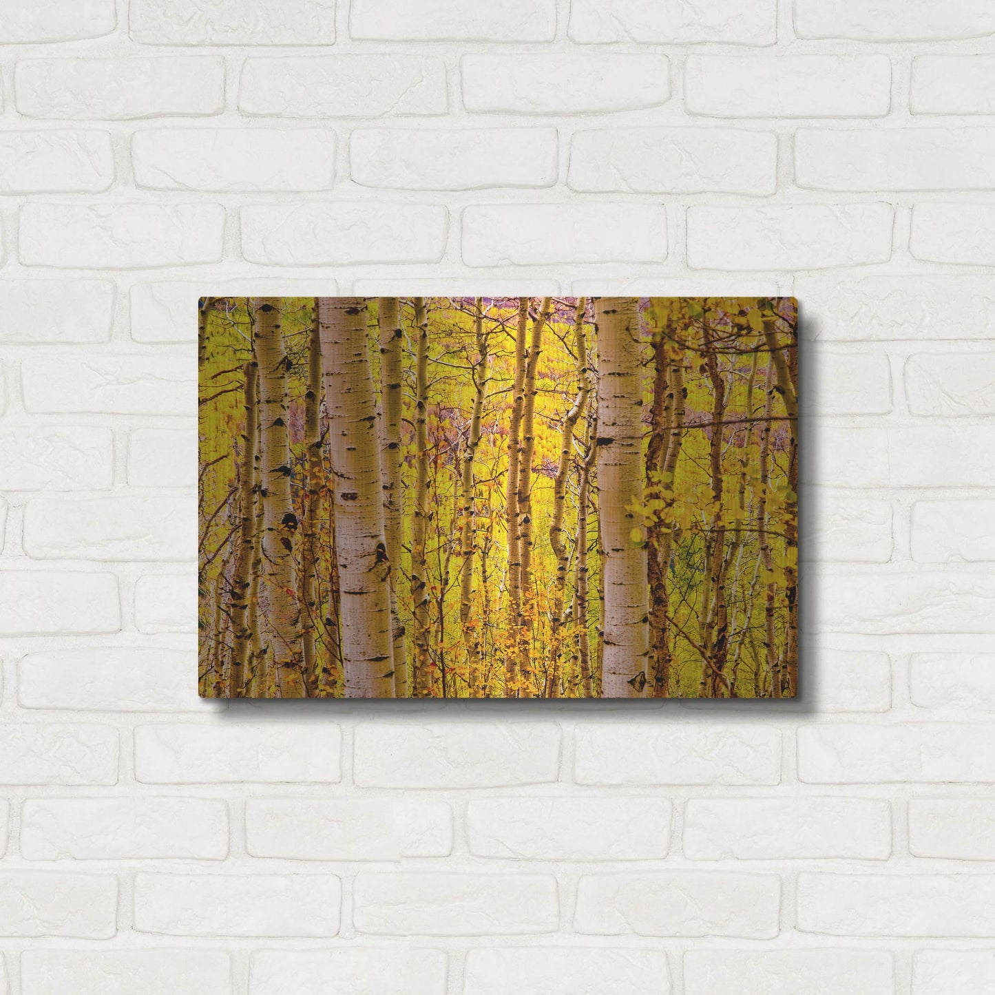 Luxe Metal Art 'Aspen Autumn' by Mark A Paulda, Metal Wall Art,24x16