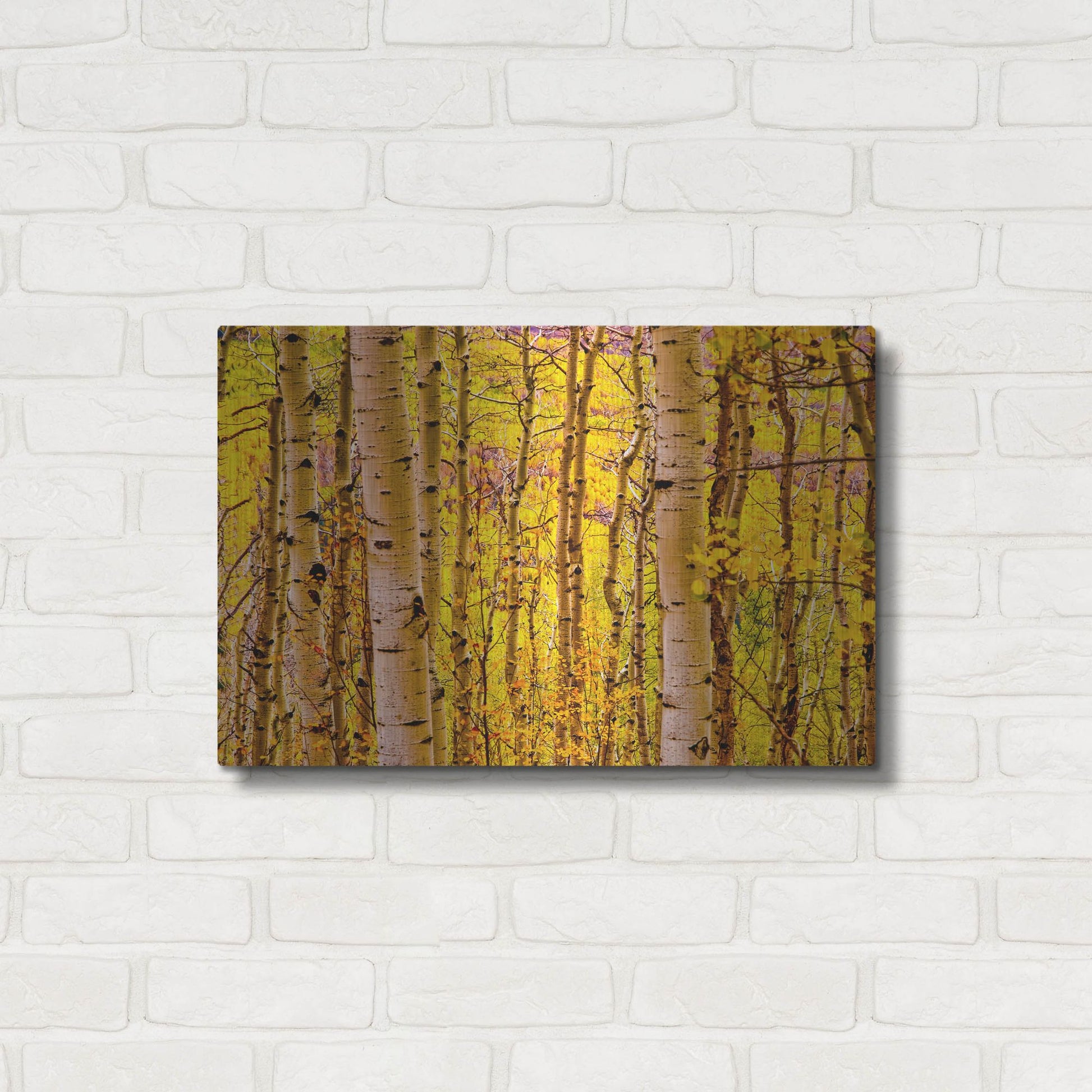 Luxe Metal Art 'Aspen Autumn' by Mark A Paulda, Metal Wall Art,24x16