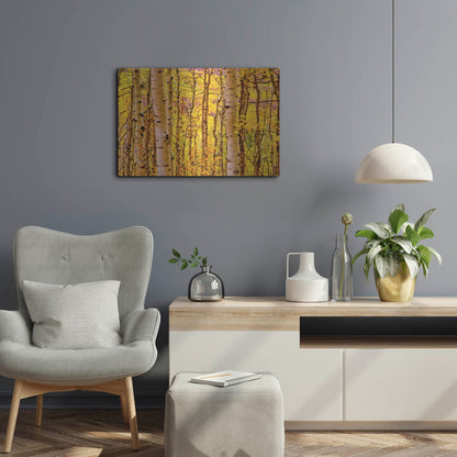Luxe Metal Art 'Aspen Autumn' by Mark A Paulda, Metal Wall Art,24x16