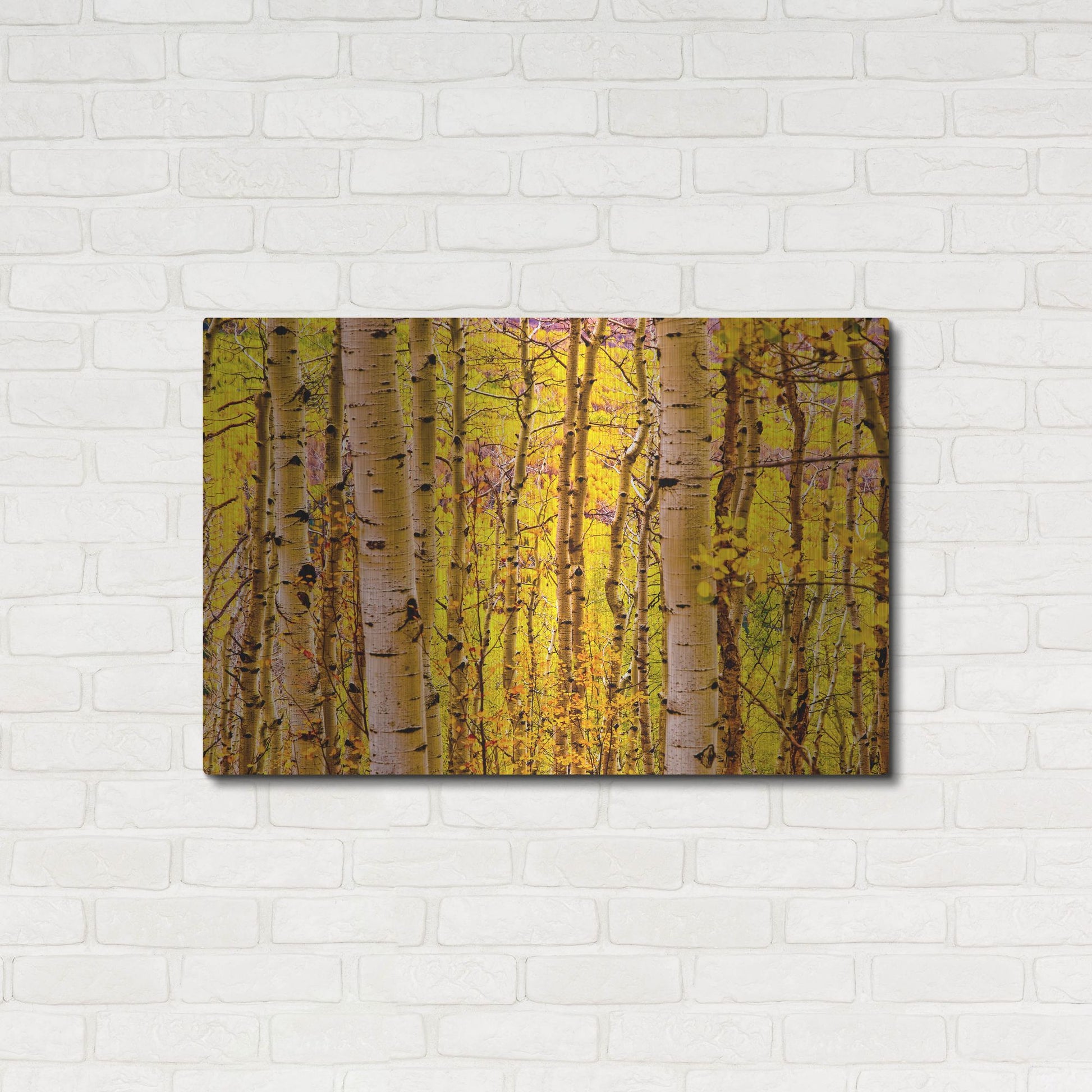 Luxe Metal Art 'Aspen Autumn' by Mark A Paulda, Metal Wall Art,36x24