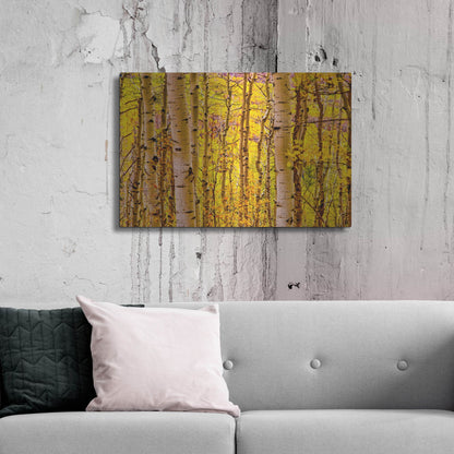 Luxe Metal Art 'Aspen Autumn' by Mark A Paulda, Metal Wall Art,36x24