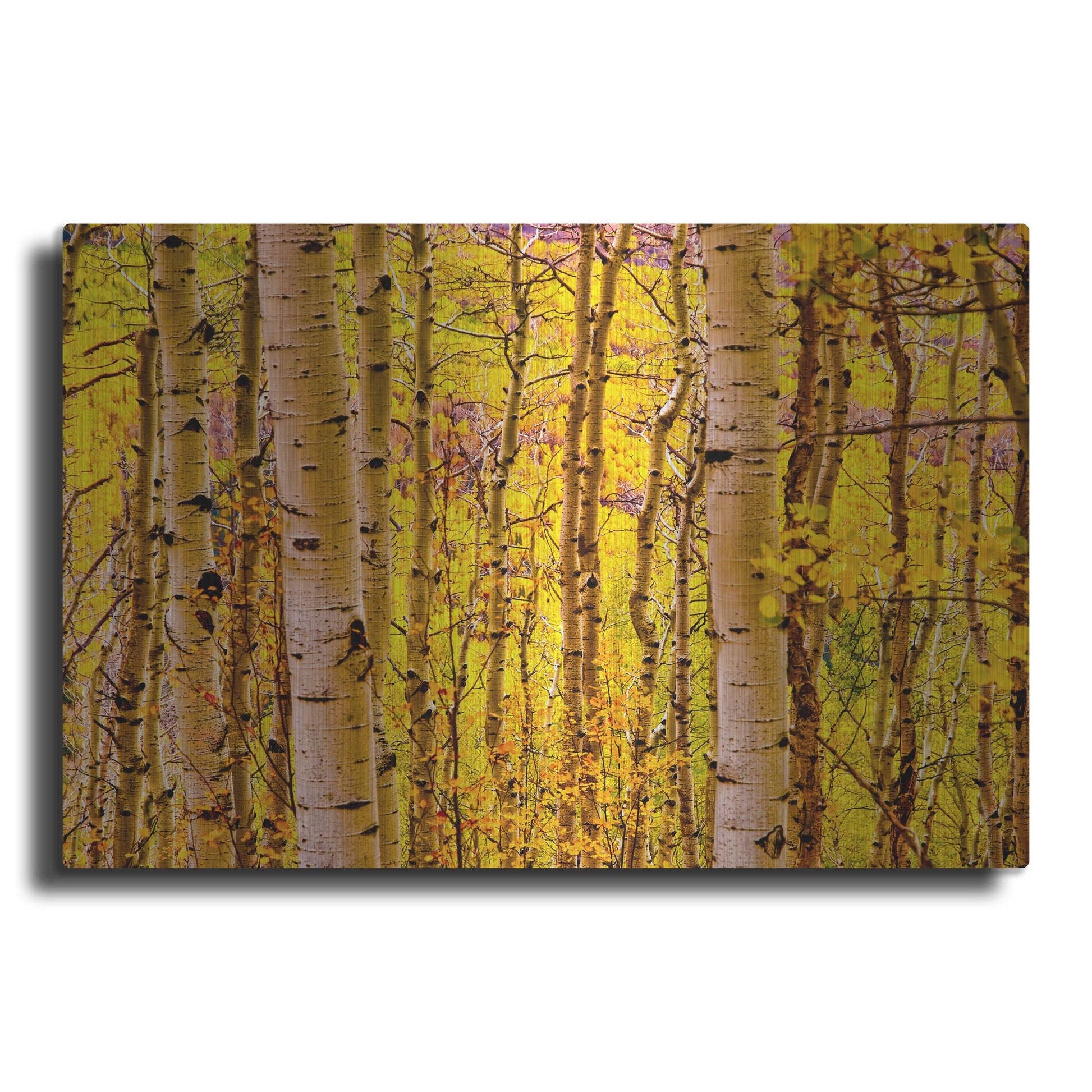 Luxe Metal Art 'Aspen Autumn' by Mark A Paulda, Metal Wall Art