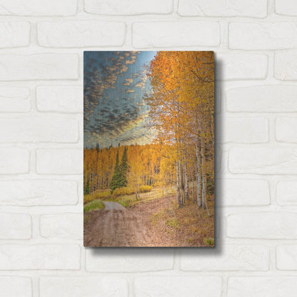 Luxe Metal Art 'Jackson Hole' by Mark A Paulda, Metal Wall Art,12x16
