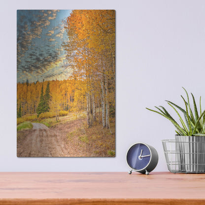 Luxe Metal Art 'Jackson Hole' by Mark A Paulda, Metal Wall Art,12x16